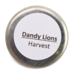 Dandy Lions Harvest Shimmer Eyeshadow