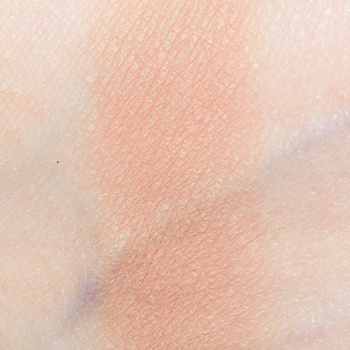 Dandy Lions Peach Beach Matte Eyeshadow