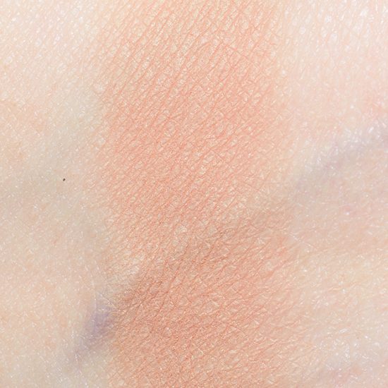Dandy Lions Peach Beach Matte Eyeshadow