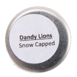 Dandy Lions Snow Capped Shimmer Eyeshadow