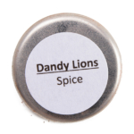Dandy Lions Spice Shimmer Eyeshadow