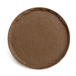 Dandy Lions Woodland Matte Eyeshadow