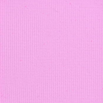 Blend Bunny Pressed Pigment Baby Tee