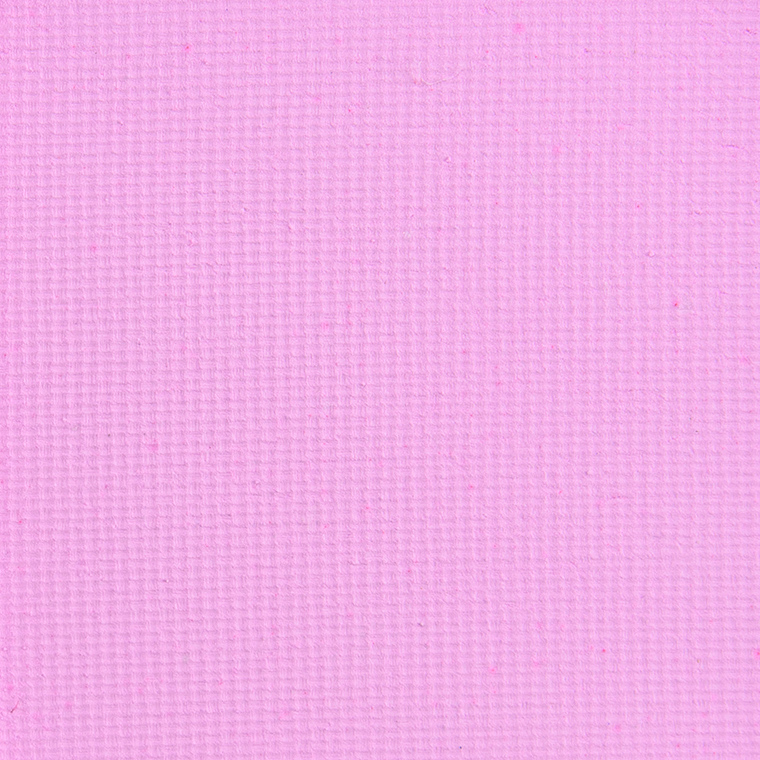Blend Bunny Baby Tee Pressed Pigment