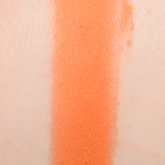 Blend Bunny Barley Pressed Pigment
