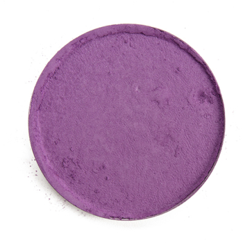 Dandy Lions Matte Eyeshadow Ambitious