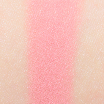 Dandy Lions Carnation Matte Eyeshadow