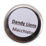 Dandy Lions Macchiato Shimmer Eyeshadow