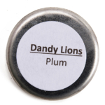 Dandy Lions Plum Shimmer Eyeshadow