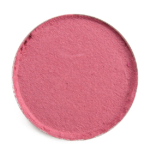 Dandy Lions Razzle Matte Eyeshadow