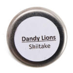Dandy Lions Shitake Matte Eyeshadow