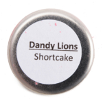 Dandy Lions Shortcake Matte Eyeshadow