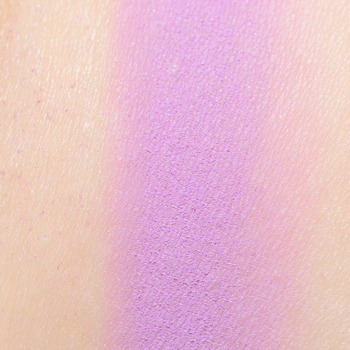 Dandy Lions Unfazed Matte Eyeshadow