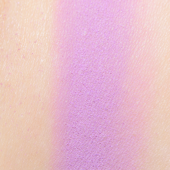 Dandy Lions Unfazed Matte Eyeshadow