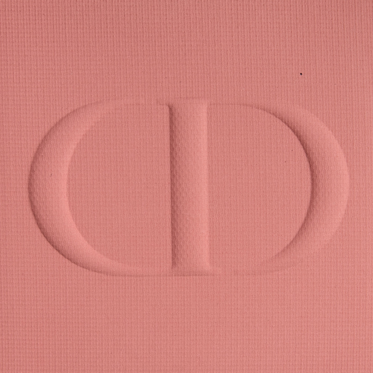 Dior Nude Look (100) Rouge Blush