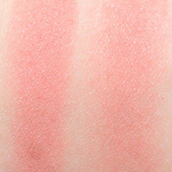 Dior Nude Look (100) Rouge Blush