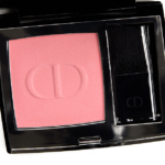 Dior Panarea (343) Rouge Blush