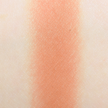 Danessa Myricks Shape n' Fix Powder Core (Powder)