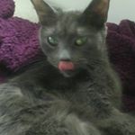 Profile picture of Kathy
