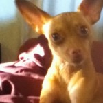Janey Avatar