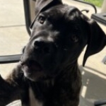 Profile picture of Gina
