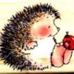 Celeste Avatar