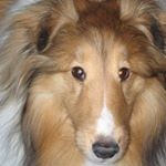 Mindy Avatar