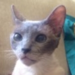 Loulouhex Avatar
