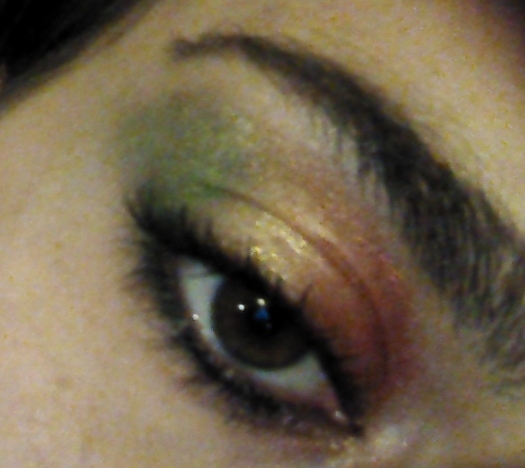 Parrot Eyes