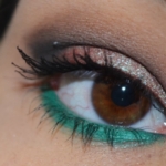 Blue Brown Makeup