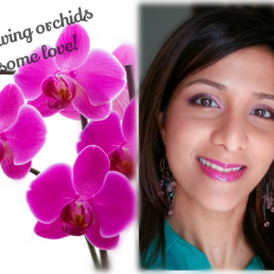 Showing Orchids Some Love