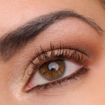 MAC Warm Neutral Eyeshadow Look