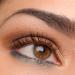 MAC Warmer Brown Eyeshadow Look
