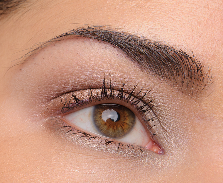 Dior Spring 2016 Mono Shadow Look (Testing for Review)