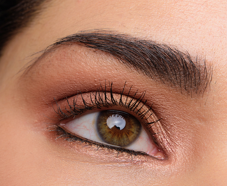 A Darker Neutral Eye with Makeup Geek