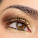 A Gold & Brown Eye with Coloured Raine