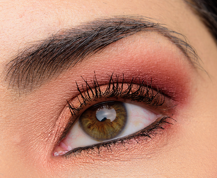 A Fiery Orange, Brown, & Plum Look with Smashbox