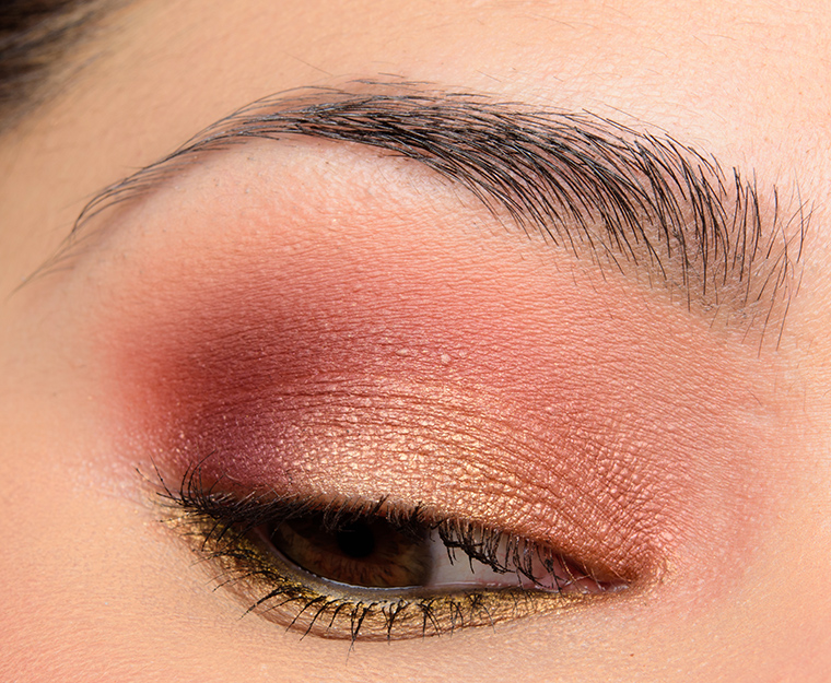 Viseart Petit Pro + Warm Mattes Look