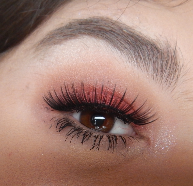 Paradox FOTD