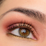 Viseart Petit Pro + Warm Mattes Look