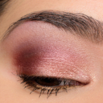 A Pink & Plum Look with Makeup Geek Foiled Pigments
