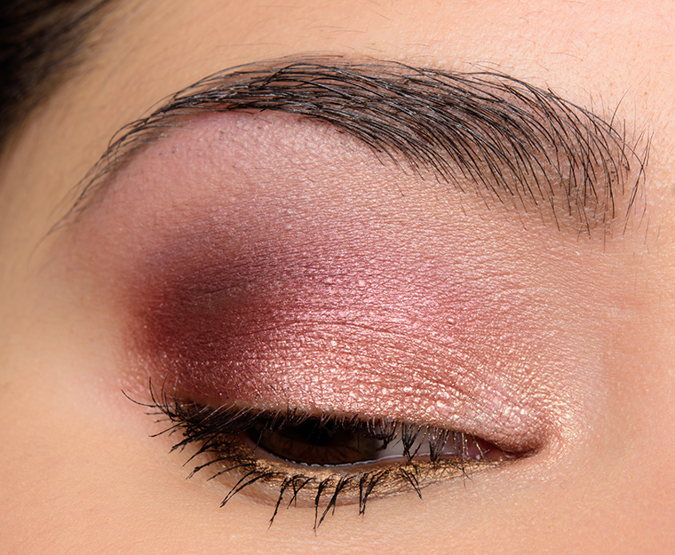 A Pink & Plum Look with Makeup Geek Foiled Pigments