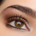 A Neutral Eye with MAC Prissy Princess