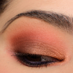 A Warm Brown & Copper Eye with Anastasia Prism Palette