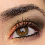 A Copper, Plum, & Green Eye with Urban Decay Distortion