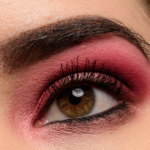 A Pink & Plum Eye with Viseart Petit Pro (02)