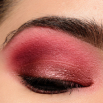 A Pink & Plum Eye with Viseart Petit Pro (02)