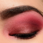 A Pink & Plum Eye with Viseart Petit Pro (02)