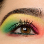 Anastasia X Norvina Mini Vol. 2 Eyeshadow Look