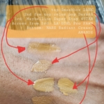 Perfect No Makeup Concealer Comparisons
